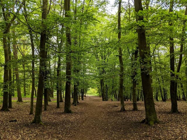 Park Homolka - Image 1