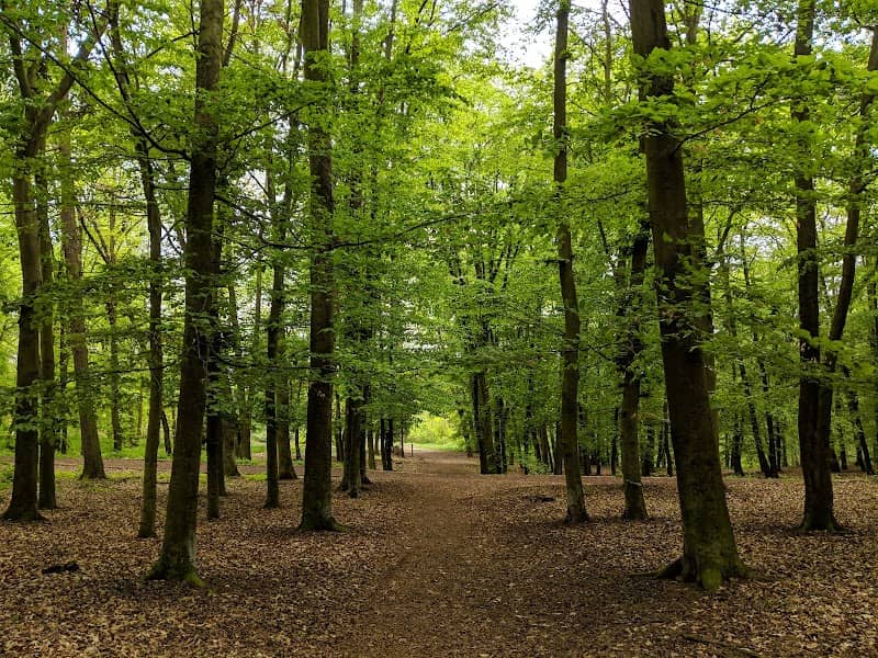 Park Homolka - Image 1