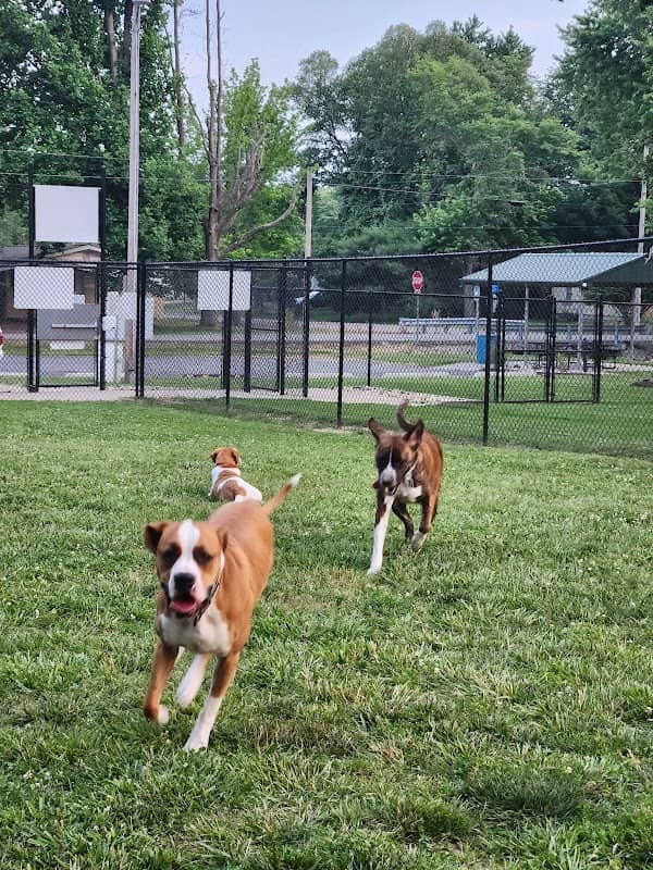 Harrison - Bruce Park - Image 1