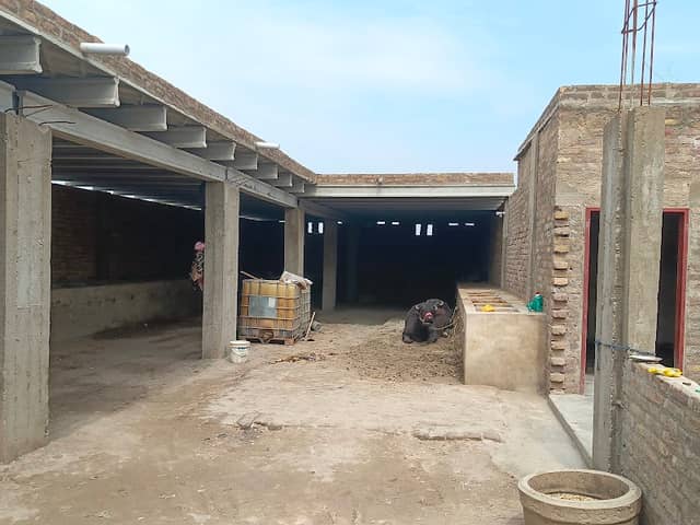 SYED FARM HOUSE AND CATTLE - Image 1