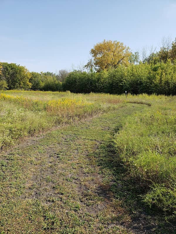 South Woods - Image 2