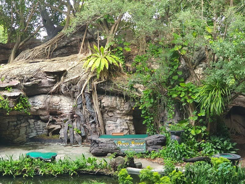 Bird Show - Image 2