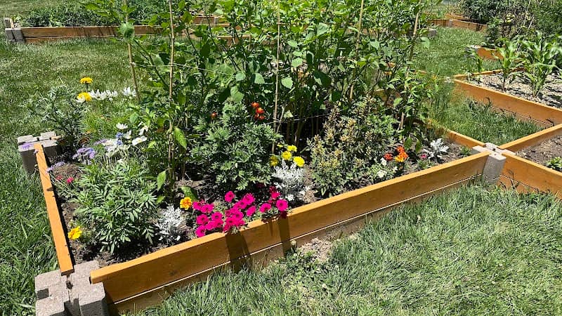 Lake Christine Community Garden - Image 2