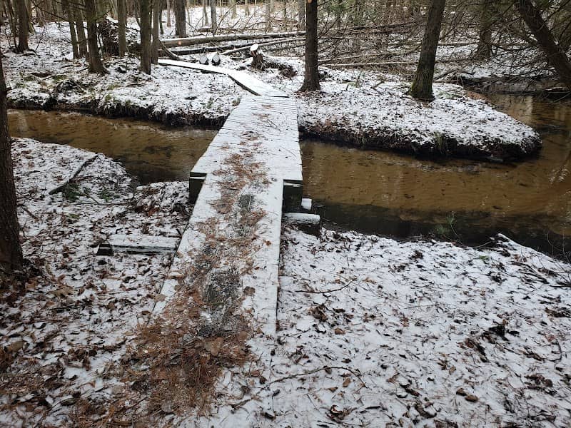 Genevieve Casey Nature Sanctuary - Image 2