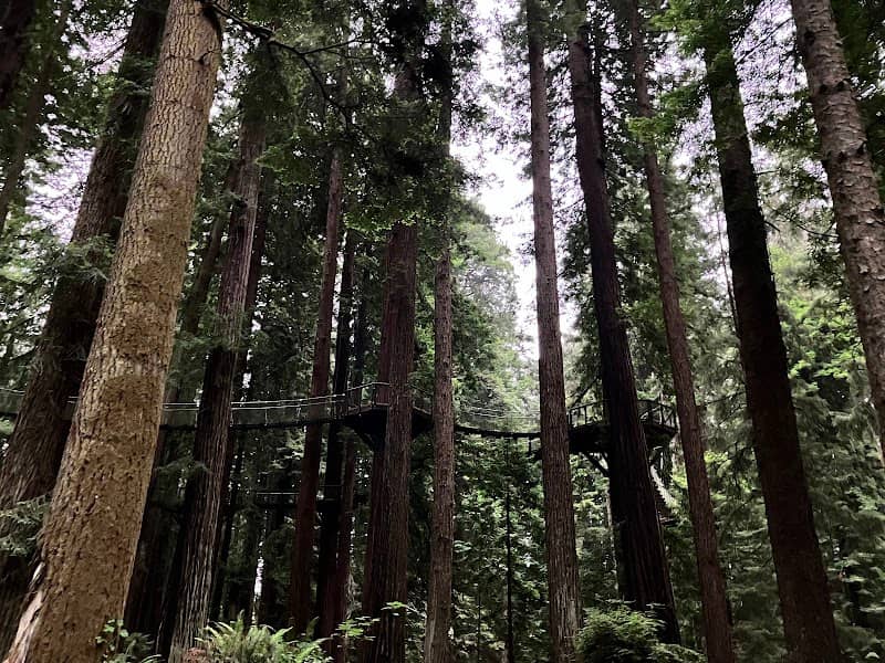 Sequoia Park - Image 2