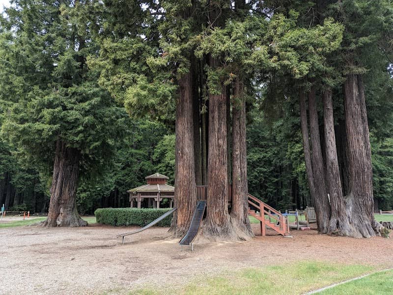 Sequoia Park - Image 1