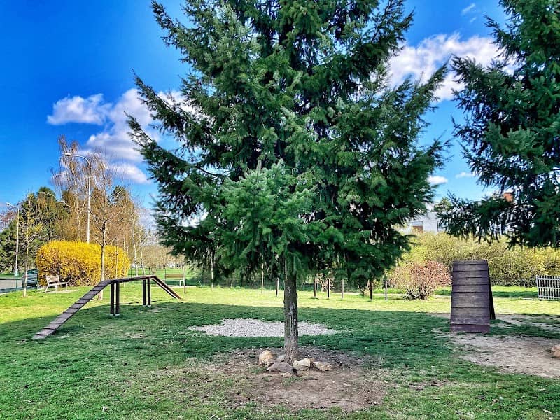 Psí louka Petrovice - Image 1