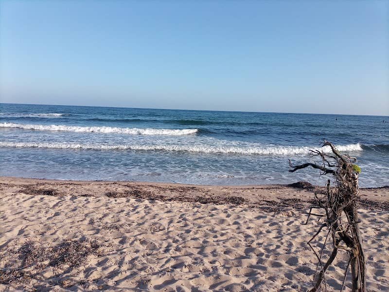 Spiaggia Foxi ‘e Sali - Image 1