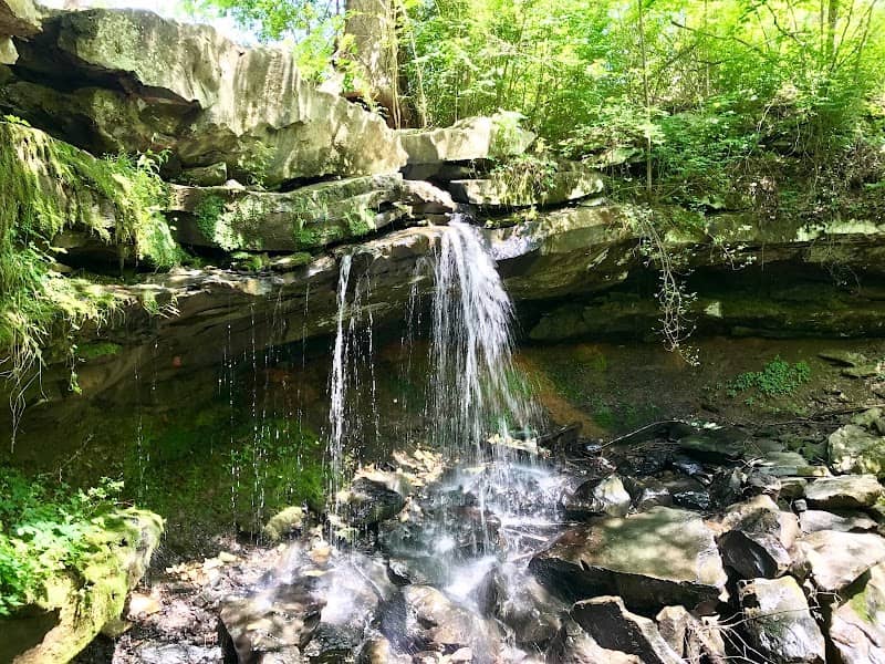 Town Springs - Image 2