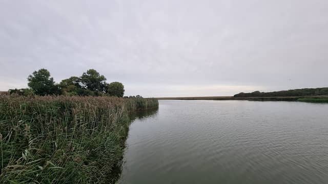 Viewing jetty - Image 1