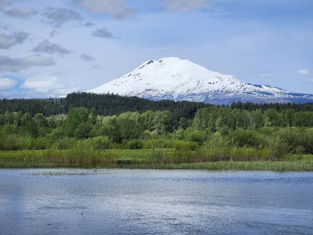 Mt. Adams Ranger District - Image 3
