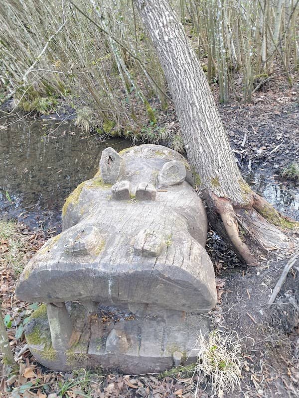 Hippopotame de Vernand - Image 1