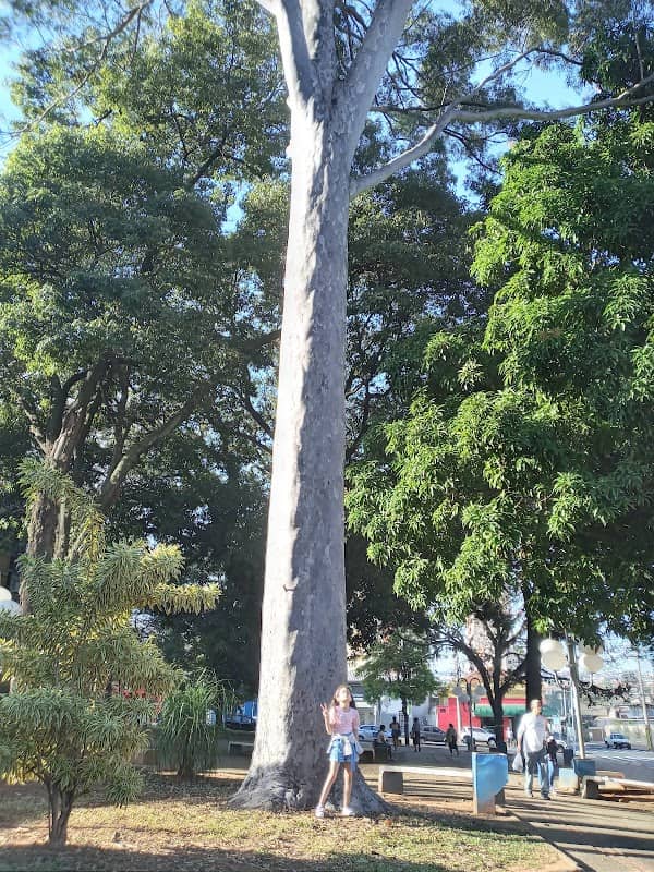 Praça do Museu - Image 2