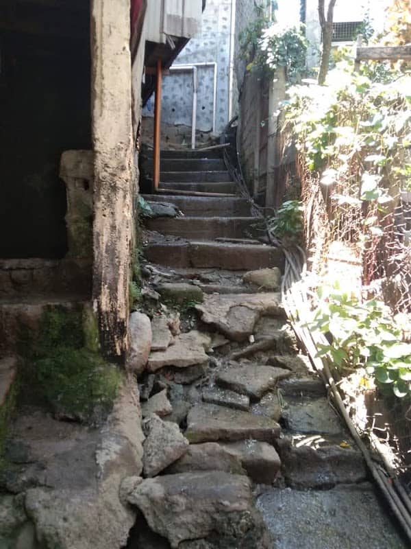 DEADLY STEPS - Image 2