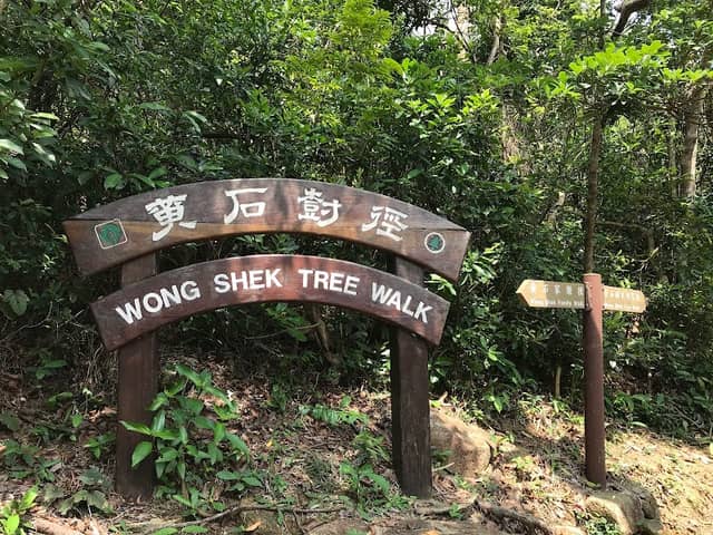 Wong Shek Tree Walk - Image 1