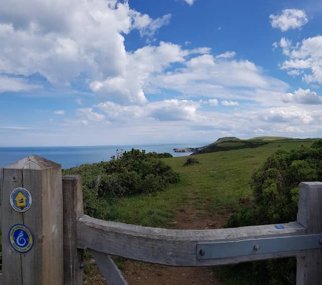 Coast Path - Image 3
