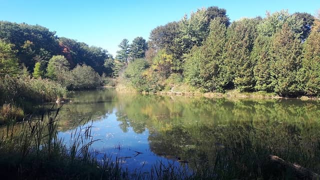Little Lovers' Lake - Image 1