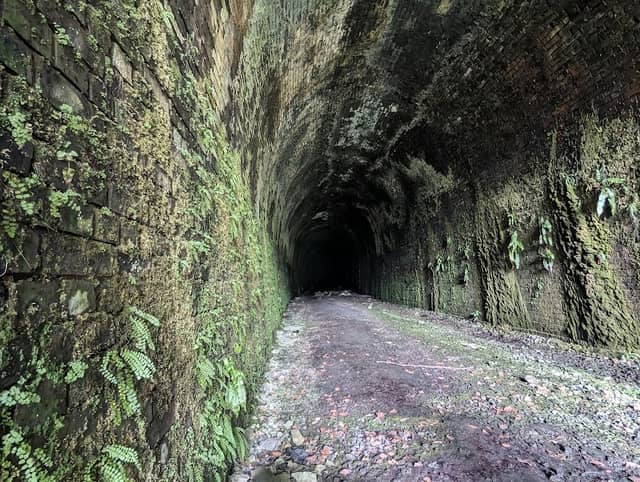 Clydach Gorge - Image 2