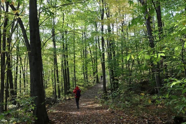 Parc Municipal De Rigaud - Image 1