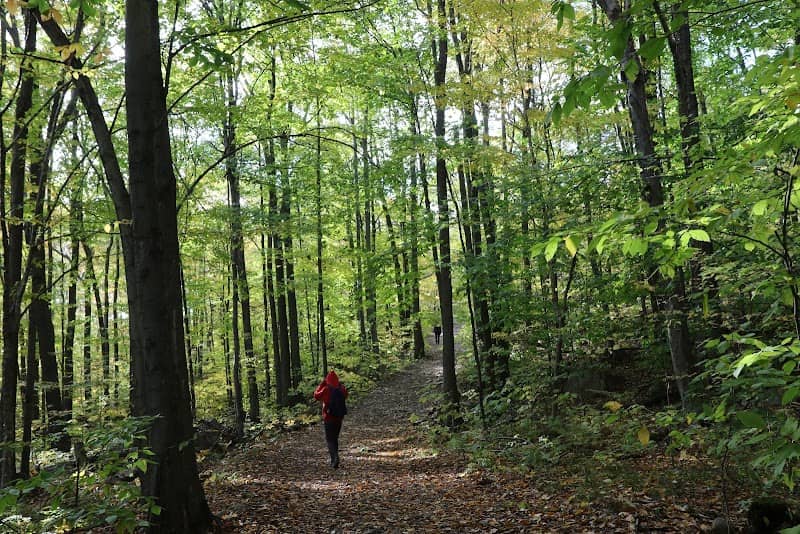 Parc Municipal De Rigaud - Image 1