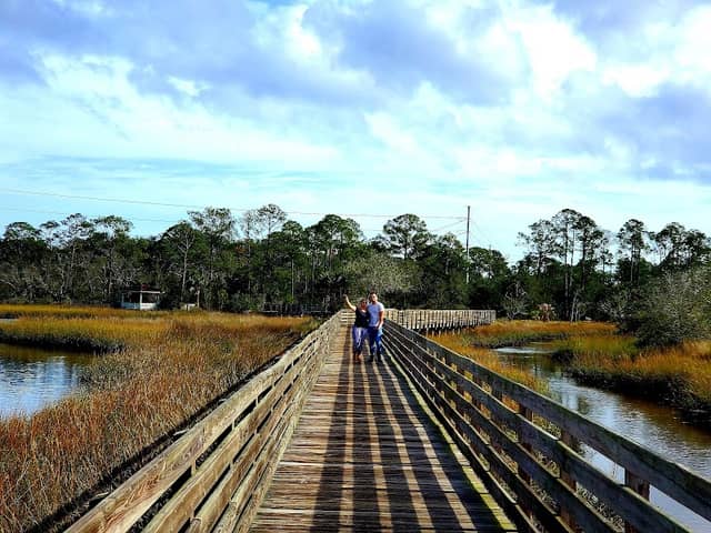 Tide Views Preserve - Image 2