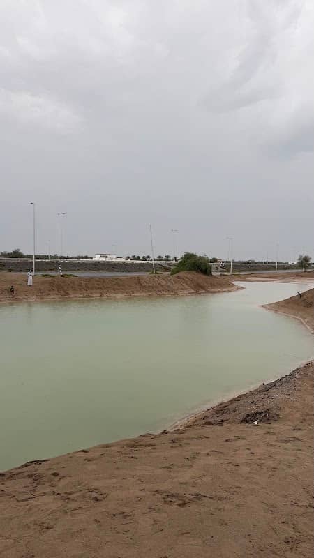 بحيرة برير - Image 1