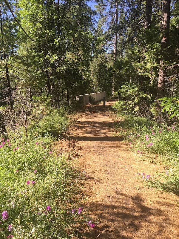 Sugar Pine Railroad Grade - Image 2