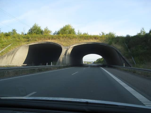 Faunabro, Svendborg - Image 1