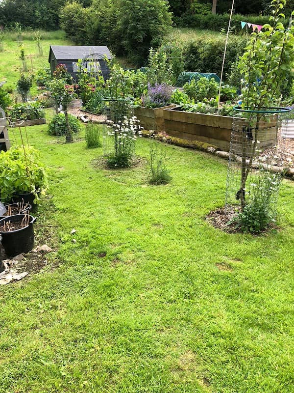 Eaglesham Community Garden - Image 2