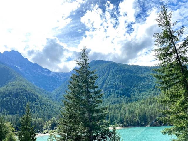 Ross Lake Overlook - Image 3