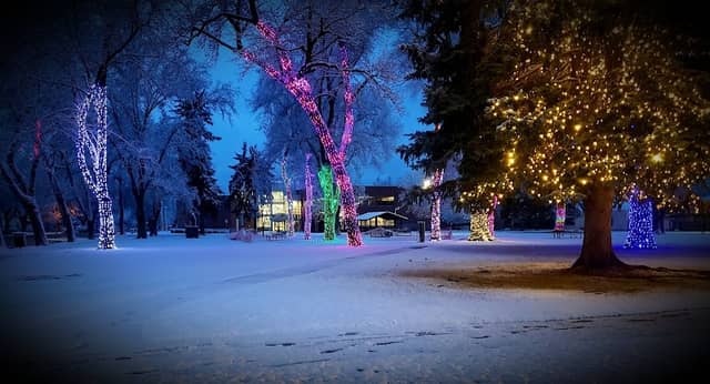 William S. Robinson Park - Image 2