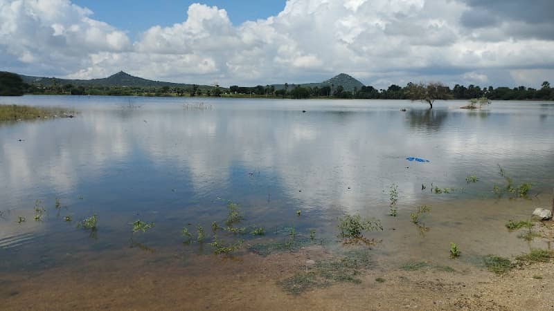 Thangadapally Cheruvu - Image 1