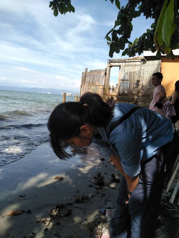 Bayabas fish port and beach - Image 3