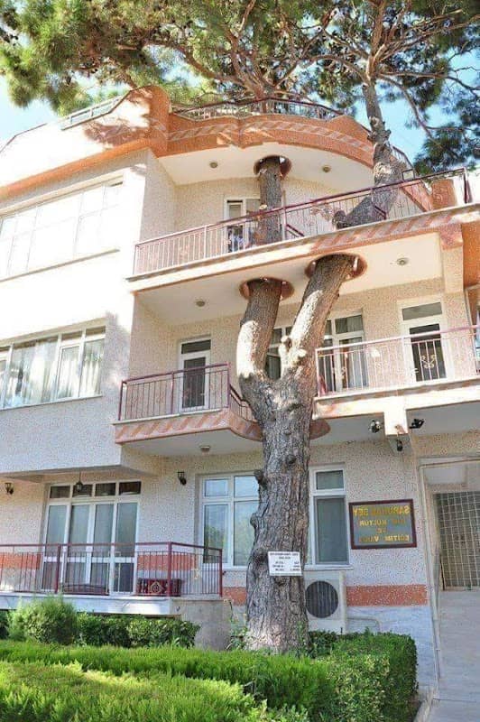 Tejram park Maur Mandi - Image 1