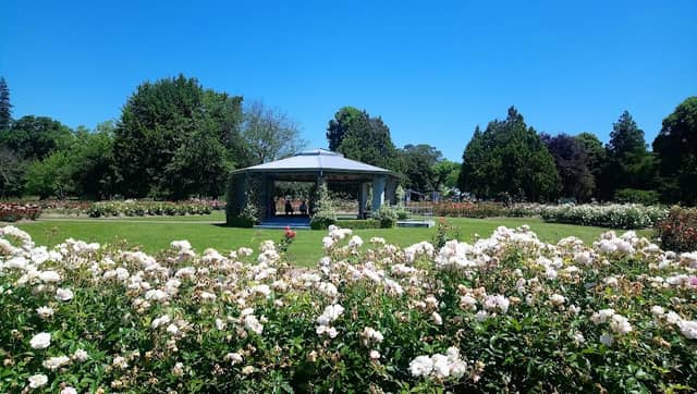 Frimley Park - Image 2