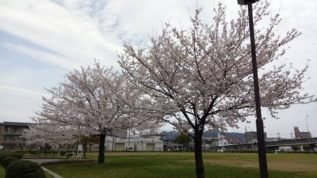 Ishisaku Park - Image 1