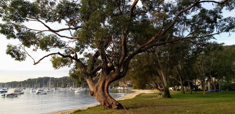 Clareville Beach Reserve - Image 3