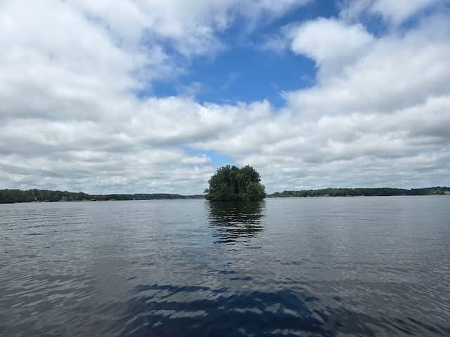 Delta Island - Image 1
