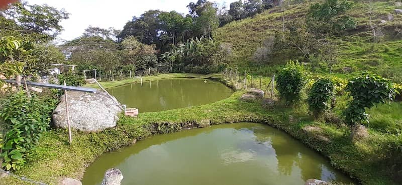 Finca San Pedro - Image 1