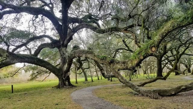 J.J. Mayes Trace Park - Image 2