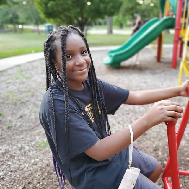 Homewood,IL Orchard Park Playground - Image 1