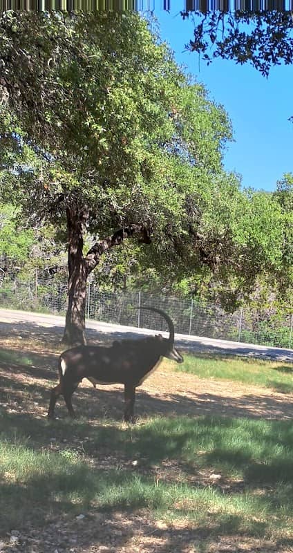Indian creek - Image 1