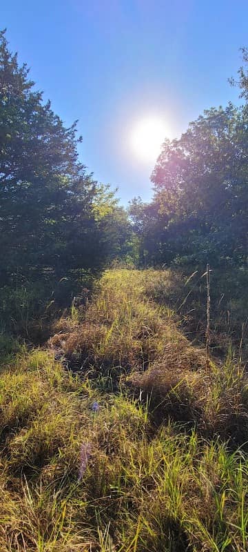 Taylor's Branch Wildlife Management Area - Image 2