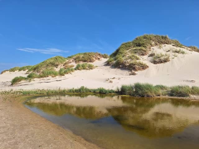 Duinlandschap Egmond Aan Zee - Image 1