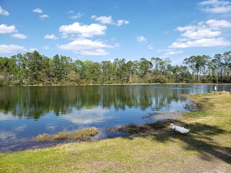Notter Pond - Image 2