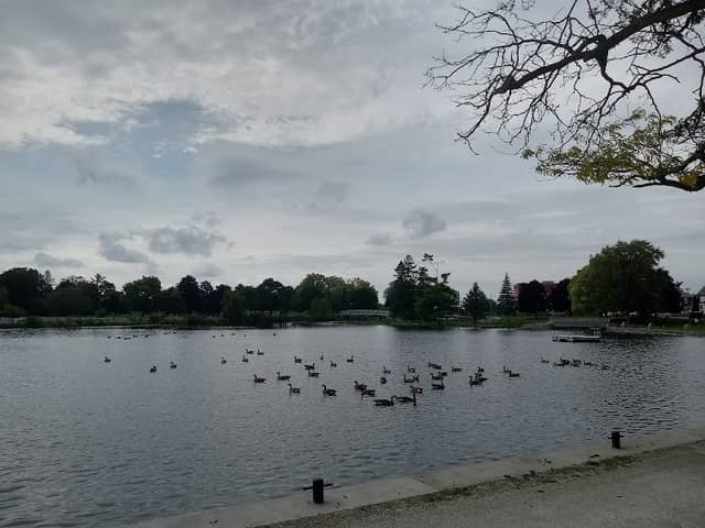 Centennial Park - Image 2