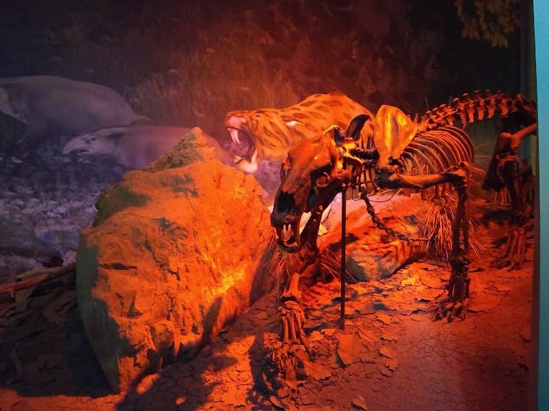 Gray Fossil Site - Image 1