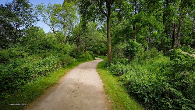 Continuation of trail - Image 2
