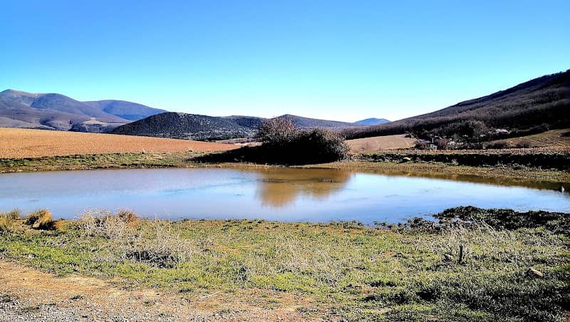 Lagunilla - Image 1