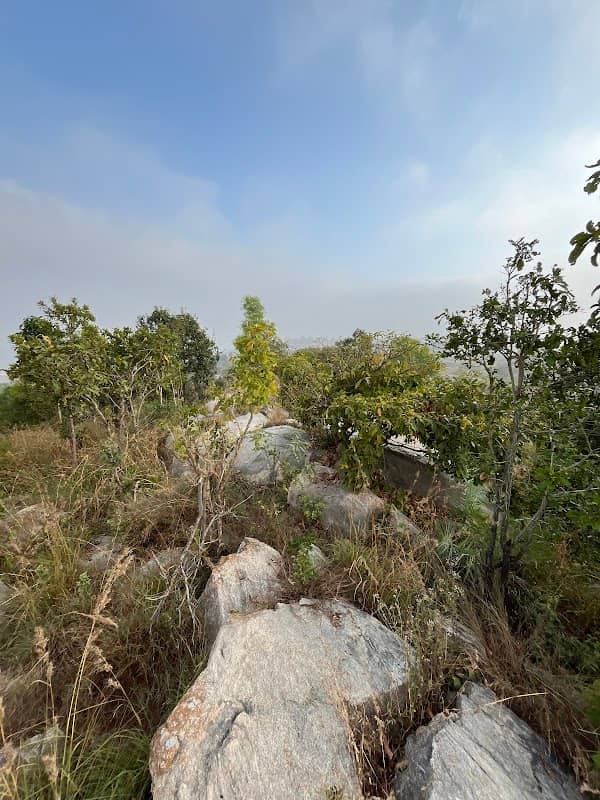 Tejjj view point - Image 1